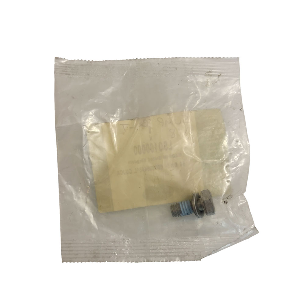 Special Bolt and Spring Washer for V8 Sump LSO100000